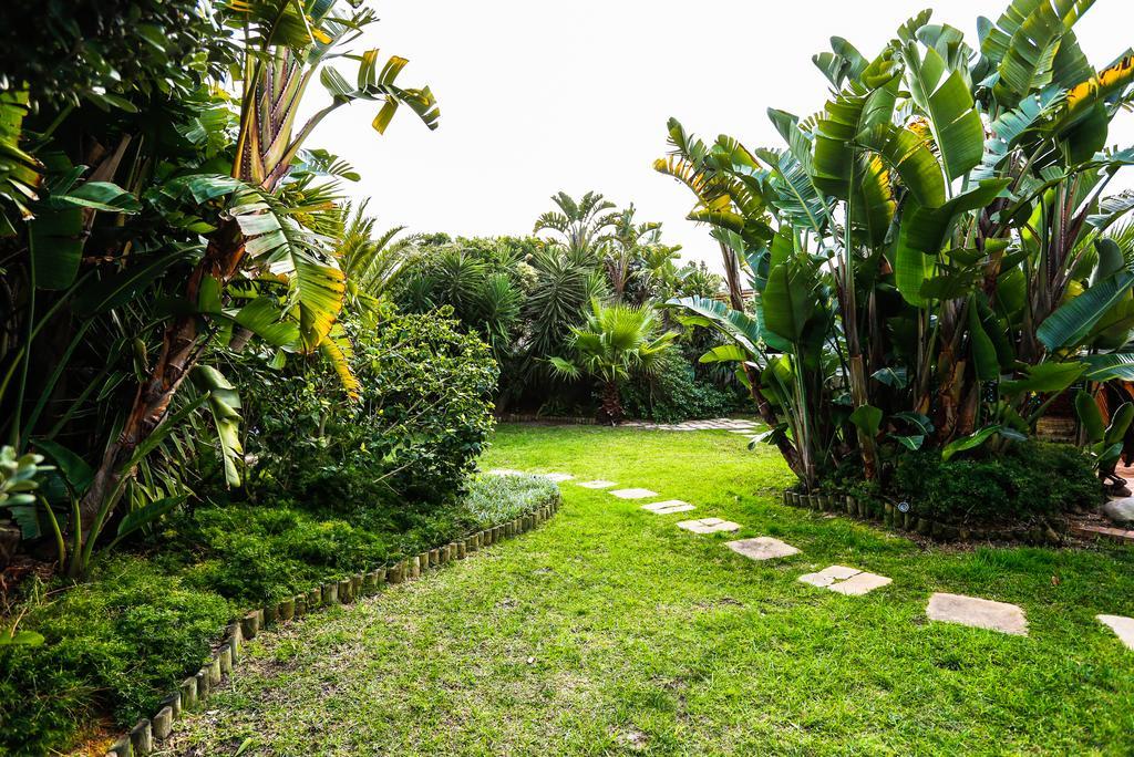Secret Garden Pensión Bloubergstrand Exterior foto