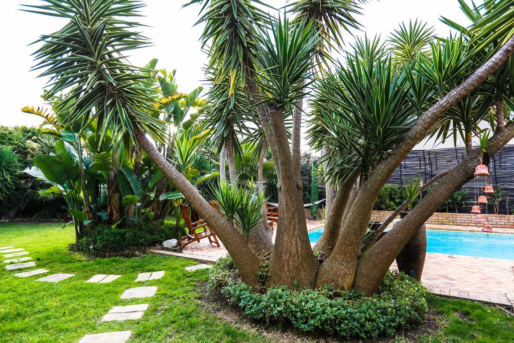 Secret Garden Pensión Bloubergstrand Exterior foto
