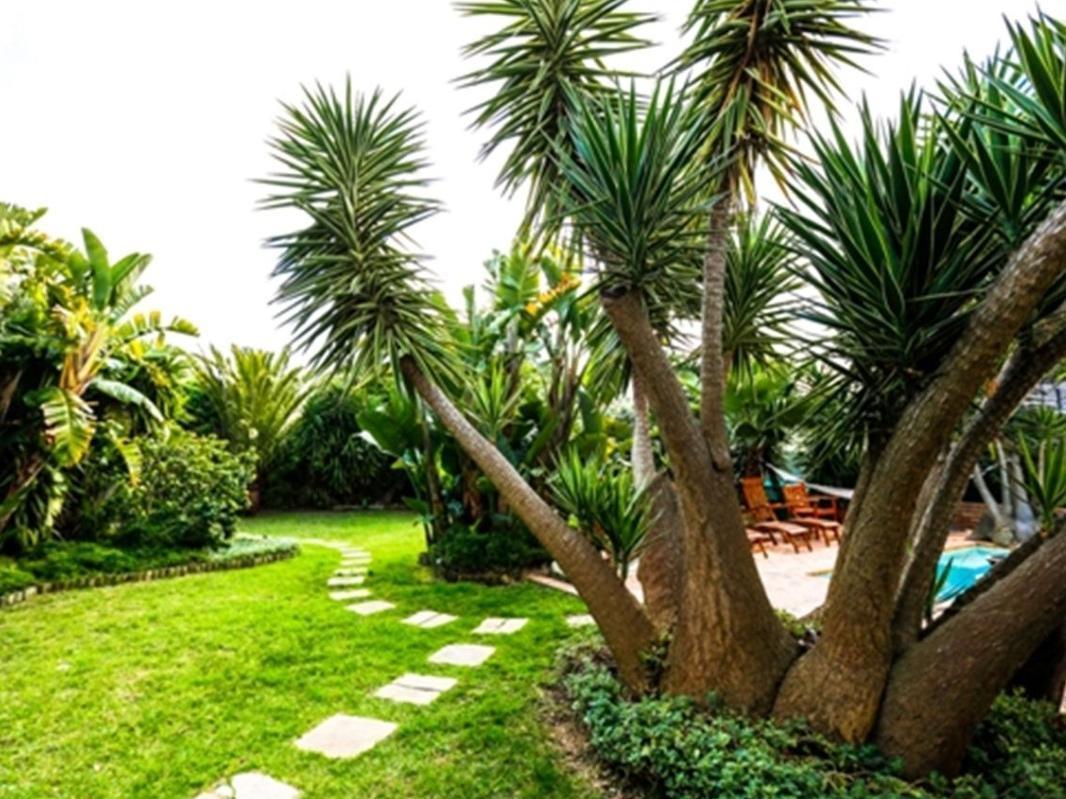 Secret Garden Pensión Bloubergstrand Exterior foto